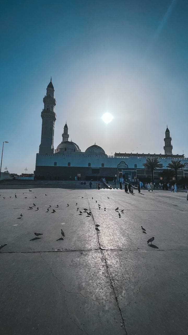 المدينة المنورة: جولة المسار النبوي الشريف