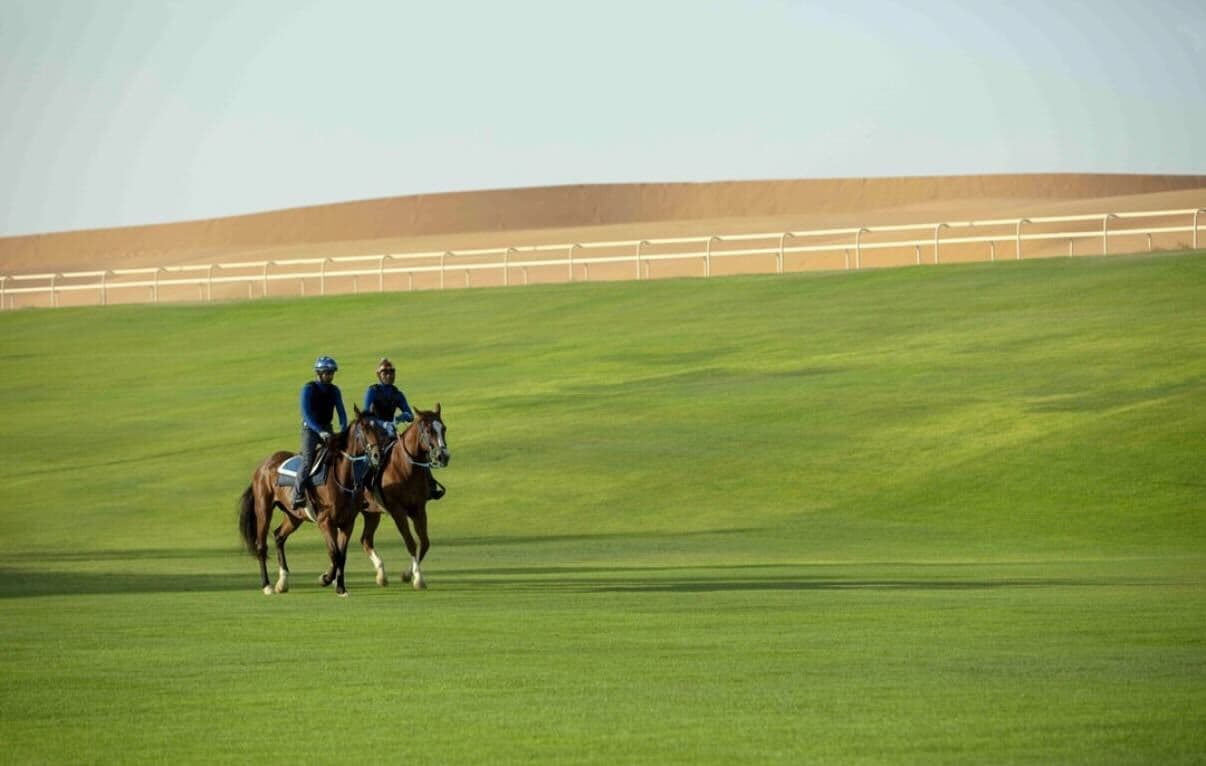 القدية: تجارب منتجع نوفا